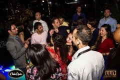 IMG_8585-copy