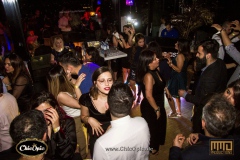 IMG_8700-copy