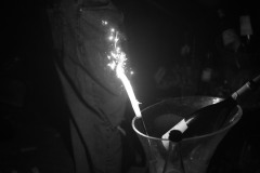 DSC3567